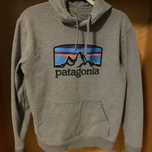 Patagonia Hoodie Mens medium